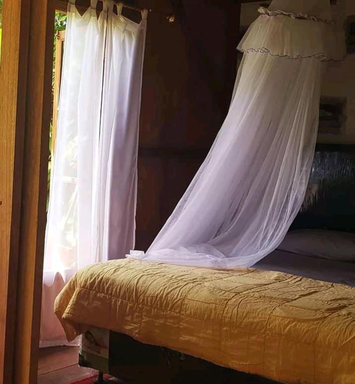 Thousand Hills Ketambe ,Room And Treking Lhokuenam Екстериор снимка
